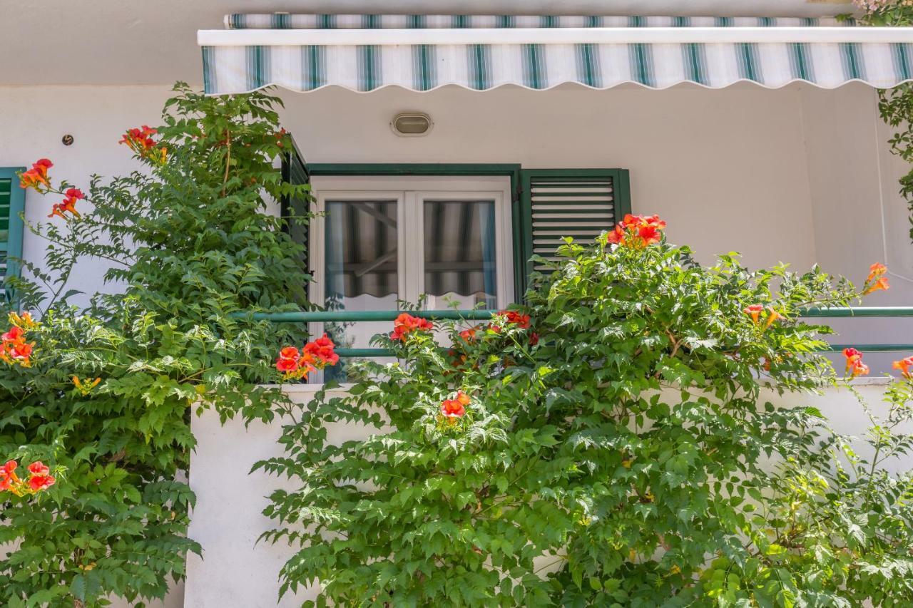 Apartmani Marko Tučepi Buitenkant foto